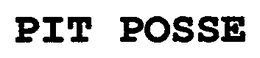 PIT POSSE trademark