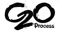 G20 PROCESS trademark