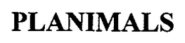 PLANIMALS trademark