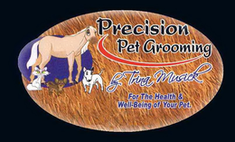 PRECISION PET GROOMING BY TRINA MUSICK FOR THE HEALTH & WELL-BEING OF YOUR PE trademark