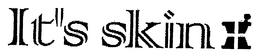 IT'S SKIN trademark