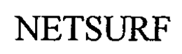 NETSURF trademark