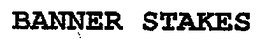 BANNER STAKES trademark