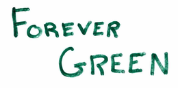 FOREVER GREEN trademark