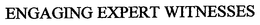 ENGAGING EXPERT WITNESSES trademark