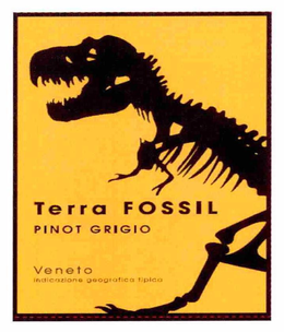TERRA FOSSIL PINOT GRIGIO VENETO INDICAZIONE GEOGRAFICA TIPICA trademark