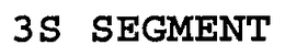 3S SEGMENT trademark