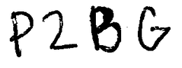 P2BG trademark