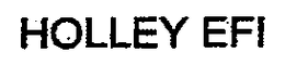 HOLLEY EFI trademark