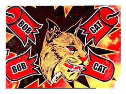 BOB CAT trademark
