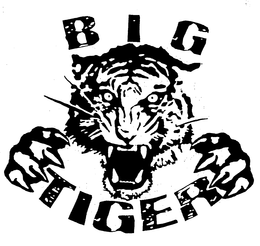 BIG TIGER trademark