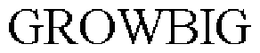 GROWBIG trademark