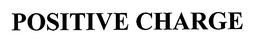 POSITIVE CHARGE trademark
