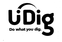 U DIG DO WHAT YOU DIG. trademark