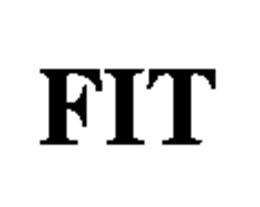 FIT trademark