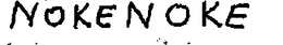 NOKENOKE trademark