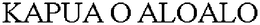 KAPUA O ALOALO trademark