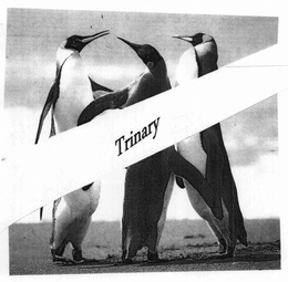 TRINARY trademark