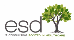 IT CONSULTING ROOTED IN HEALTHCARE trademark