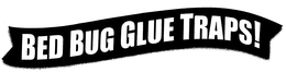 BED BUG GLUE TRAPS! trademark
