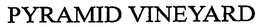 PYRAMID VINEYARD trademark