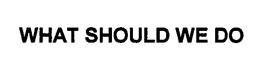 WHAT SHOULD WE DO trademark
