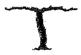 T trademark