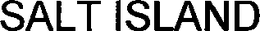 SALT ISLAND trademark