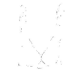 LWO trademark