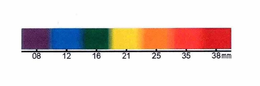 08 12 16 21 25 35 38MM trademark