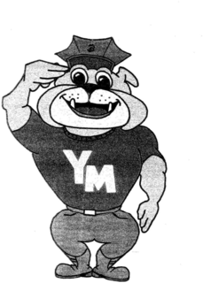 YM trademark