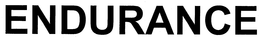ENDURANCE trademark