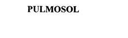 PULMOSOL trademark
