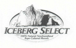 ICEBERG SELECT trademark