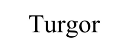 TURGOR trademark