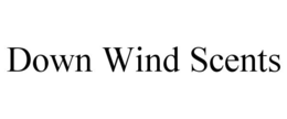 DOWN WIND SCENTS trademark
