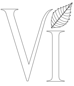VI trademark
