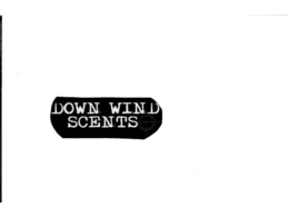 DOWN WIND SCENTS trademark