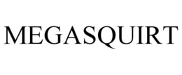 MEGASQUIRT trademark