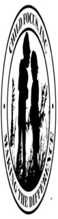 A CIRCLE WITH 2 CHILDREN IN A WHEAT FIELD, SILHOUETTED. TEXT STATES CHILD FOCUS, INC. MAKING THE DIFFERENCE. trademark