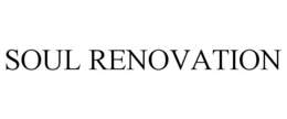 SOUL RENOVATION trademark