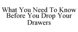 WHAT YOU NEED TO KNOW BEFORE YOU DROP YOUR DRAWERS trademark