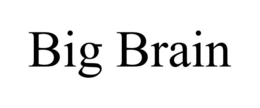 BIG BRAIN trademark