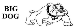 BIG DOG trademark