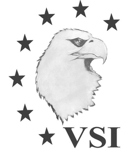 VSI trademark