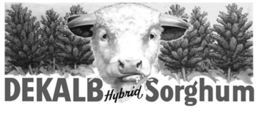 DEKALB HYBRID SORGHUM trademark