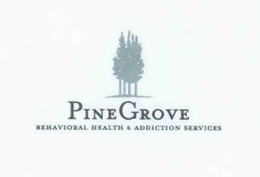 PINE GROVE BEHAVIORAL HEALTH & ADDICTION SERVICES trademark
