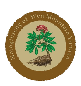 NOTOGINSENG OF WEN MOUNTAIN YUNNAN trademark