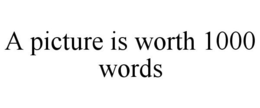A PICTURE IS WORTH 1000 WORDS trademark