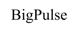 BIGPULSE trademark